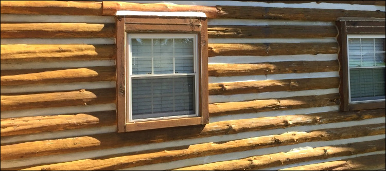 Log Home Whole Log Replacement  Baldwin County, Georgia